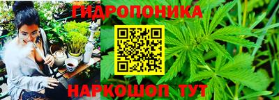 ешки Пугачёв