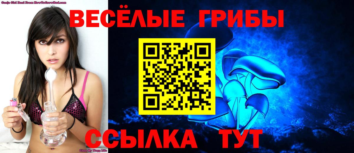 Псилоцибиновые грибы GOLDEN TEACHER Петропавловск-Камчатский